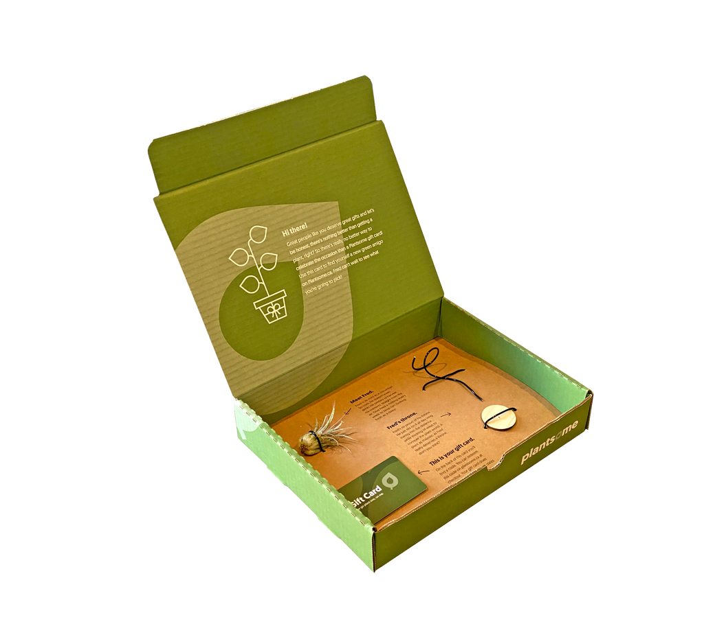 giftbox