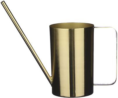 Gladys the Gold Watering Can