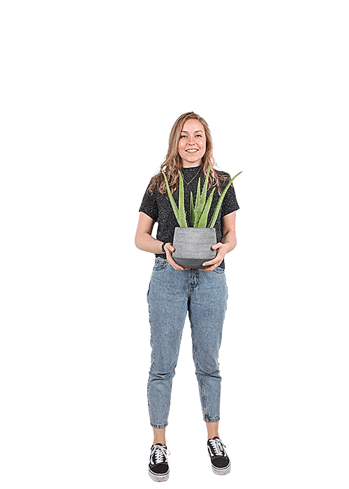 Plantenliefhebber