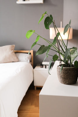 inspiratie-1