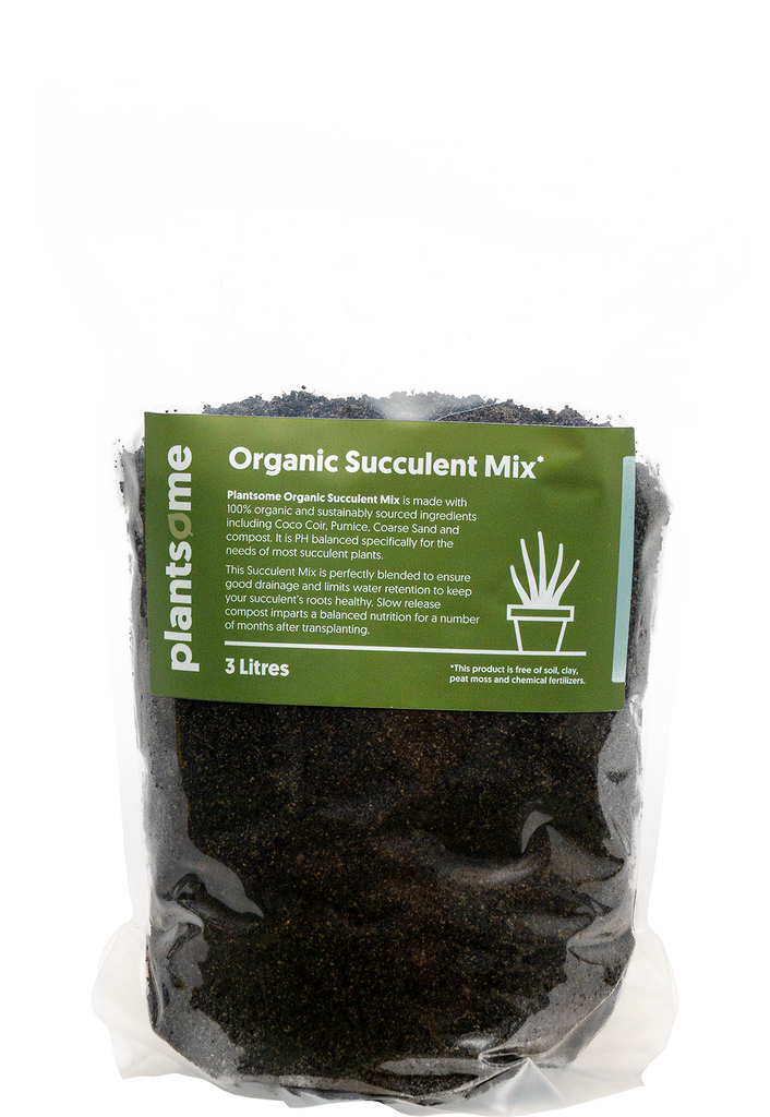 Organic Succulent Mix 3L