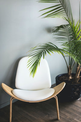 inspiratie-1