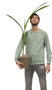axelpalm