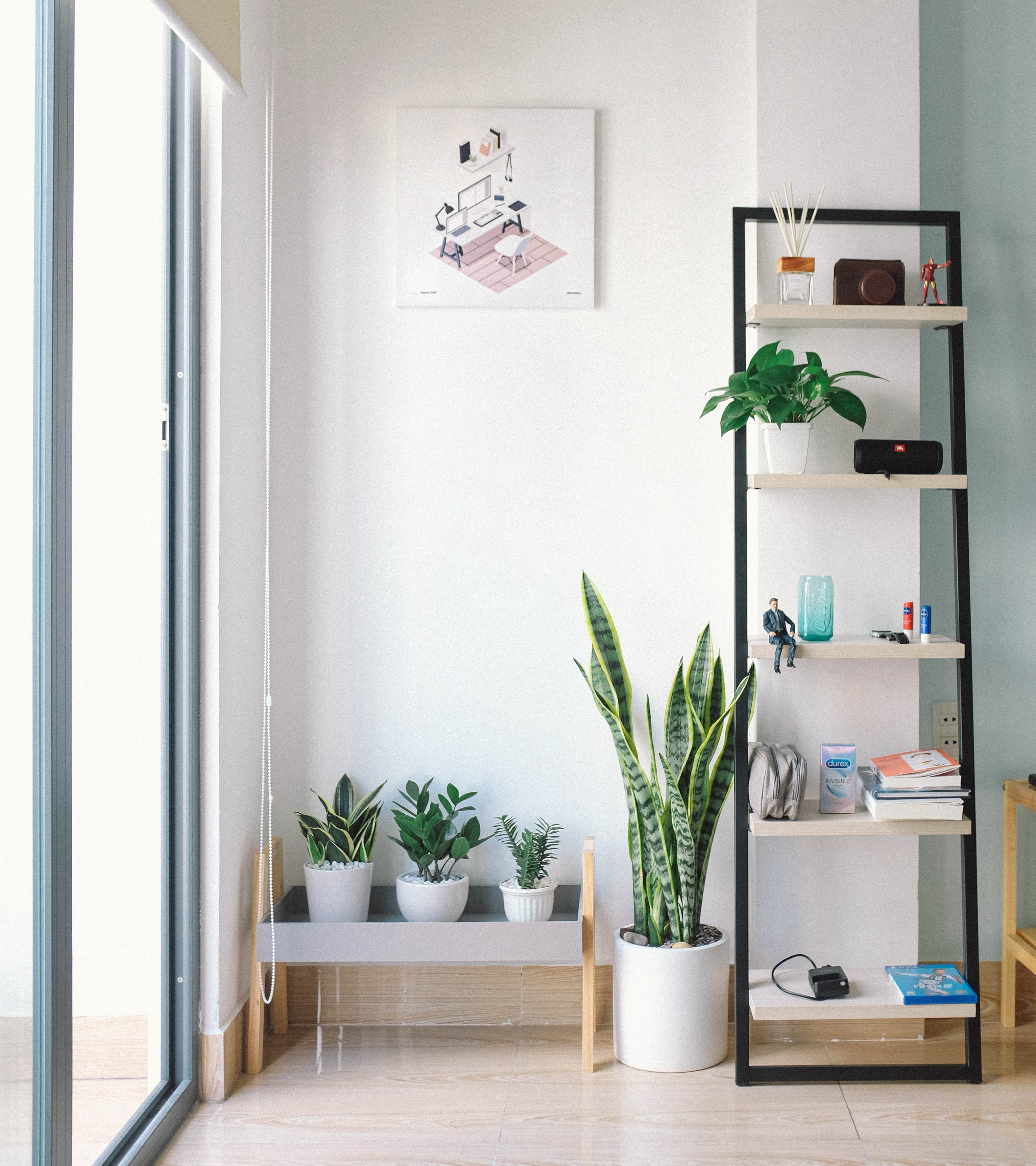 How to fit plants in smaller homes