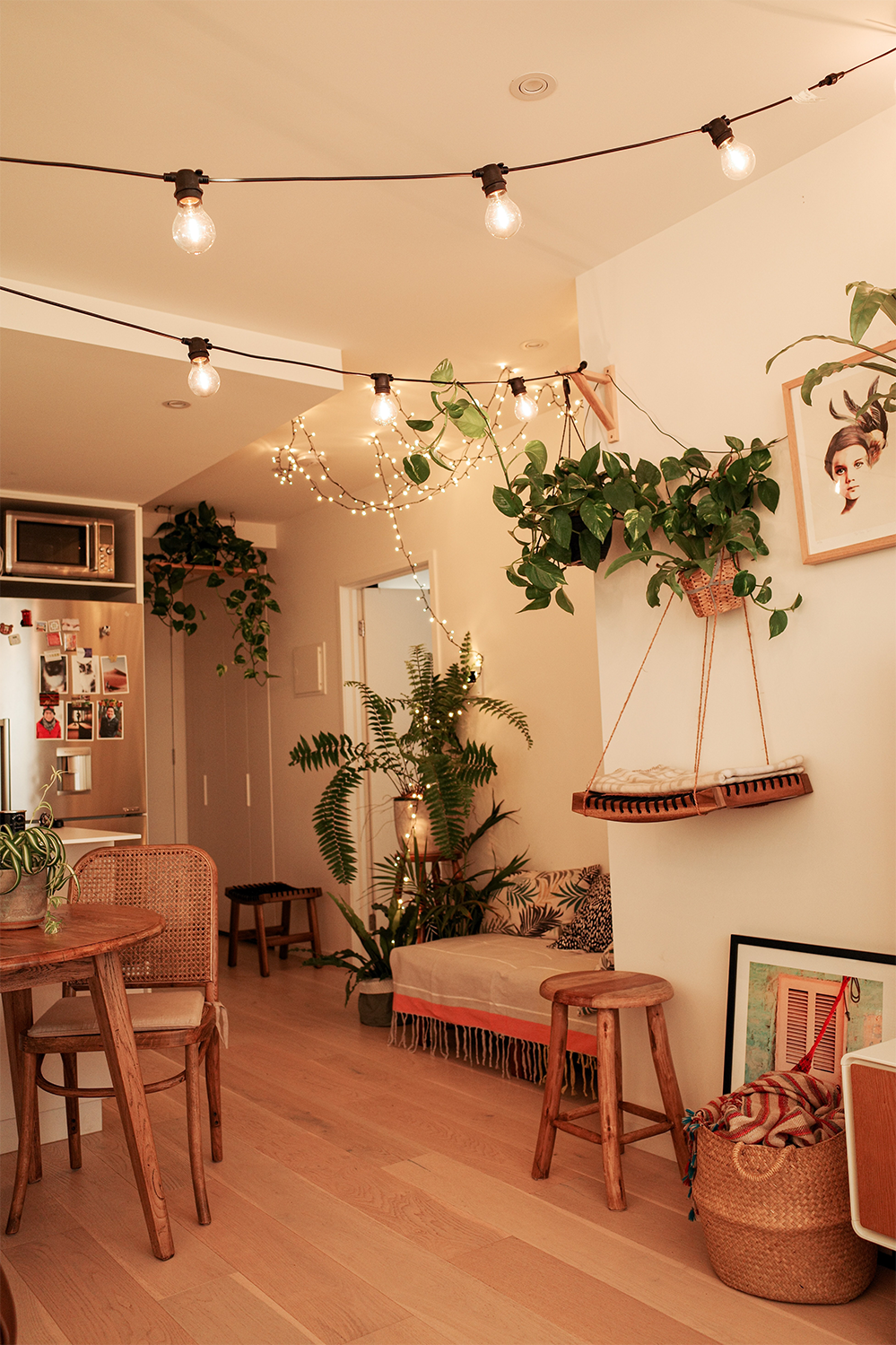 Why you should have indoor plants in your home this year