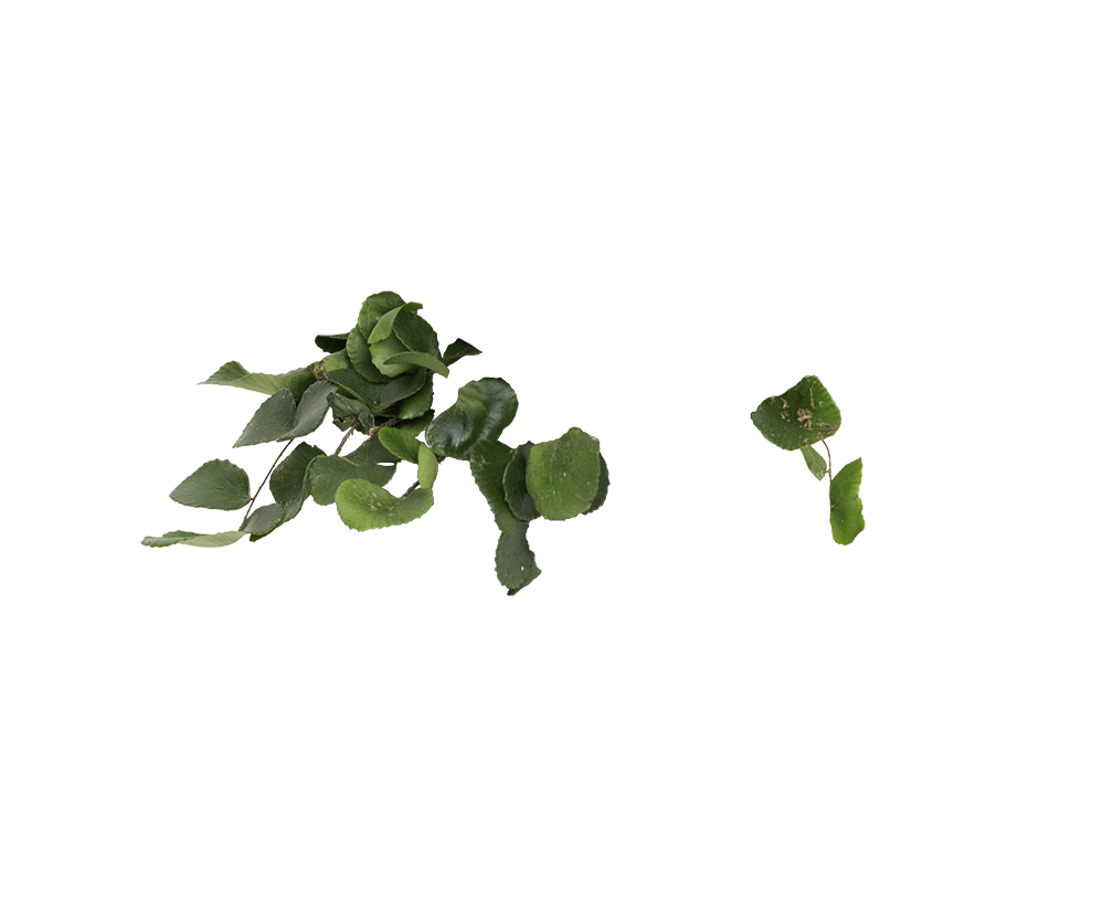 product-image-overlay
