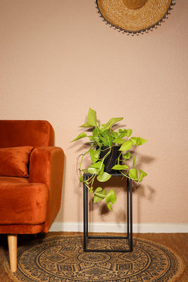 inspiratie-2