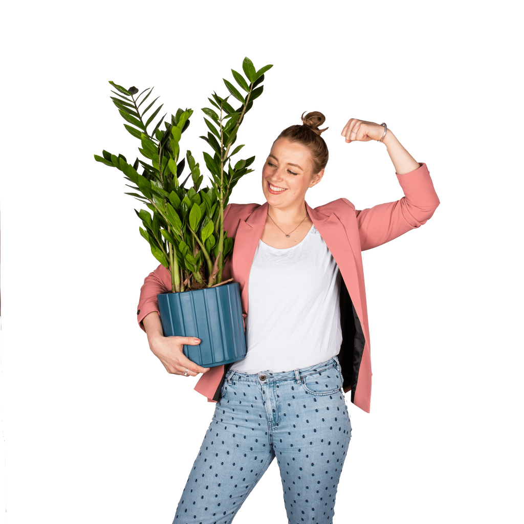 Plantenliefhebber
