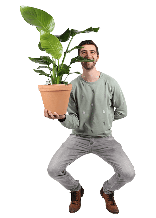 Plantenliefhebber