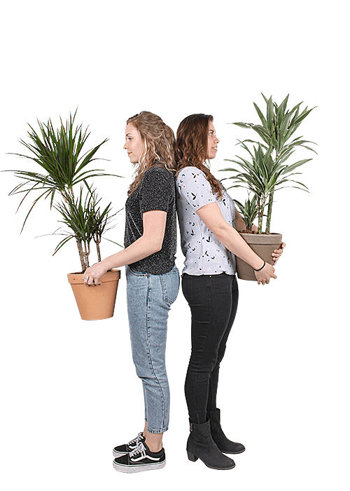 Plantenliefhebber