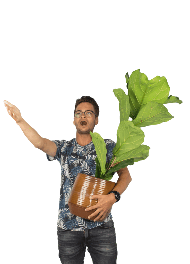 Plantenliefhebber