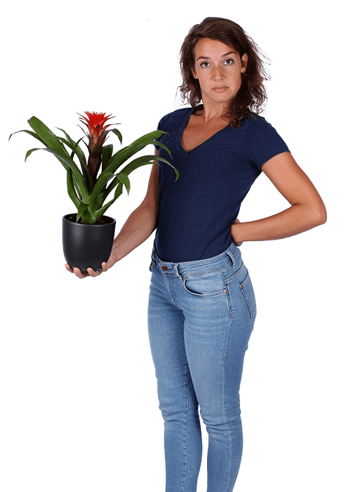 Plantenliefhebber
